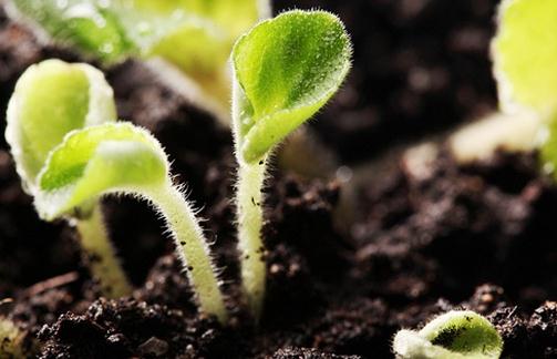 �����������������ķ���