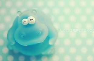 好听且不俗气的可爱网名分享:℡東京那场櫻花雨∕° www.